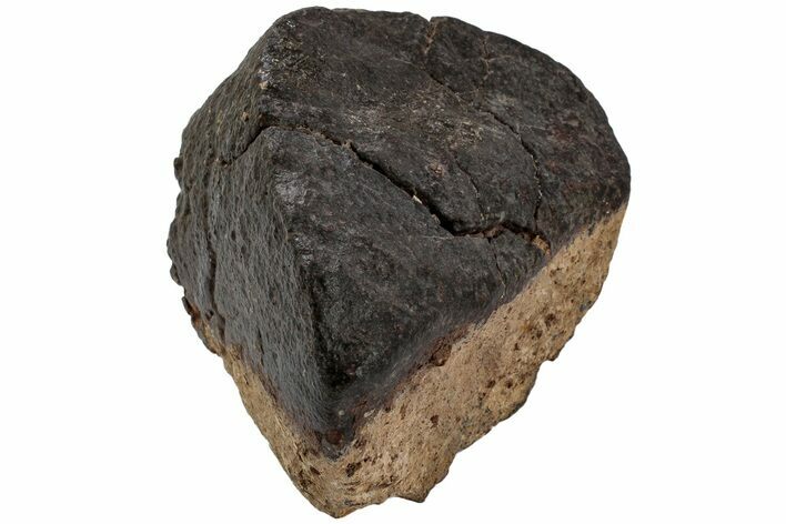 Chondrite Meteorite ( g) - Western Sahara Desert #222640